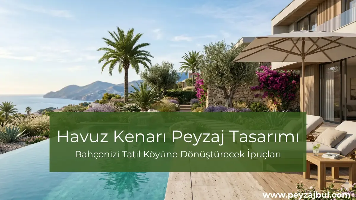 havuz kenari peyzaj tasarim ornegi