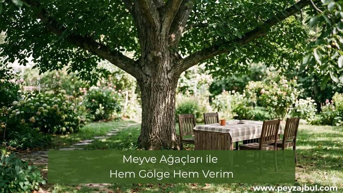Meyve ağaçları ile hem gölge hem verim